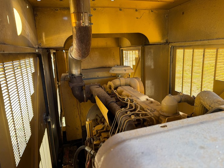 #122-•-cat-generator-image-6