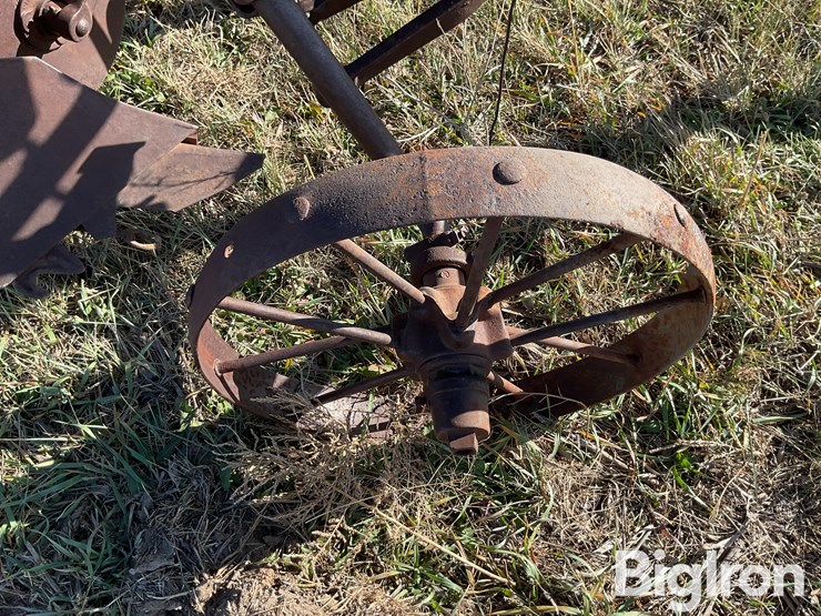 international-3-image-19