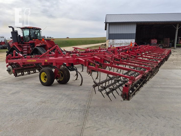 sunflower-6433-40-image-16