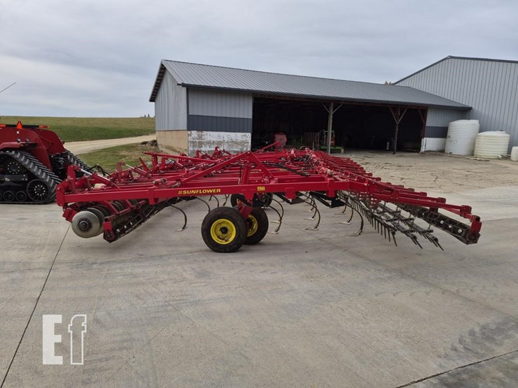 sunflower-6433-40-image-17