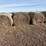 40-round-native-hay-bales-clean/sprayed-image-3