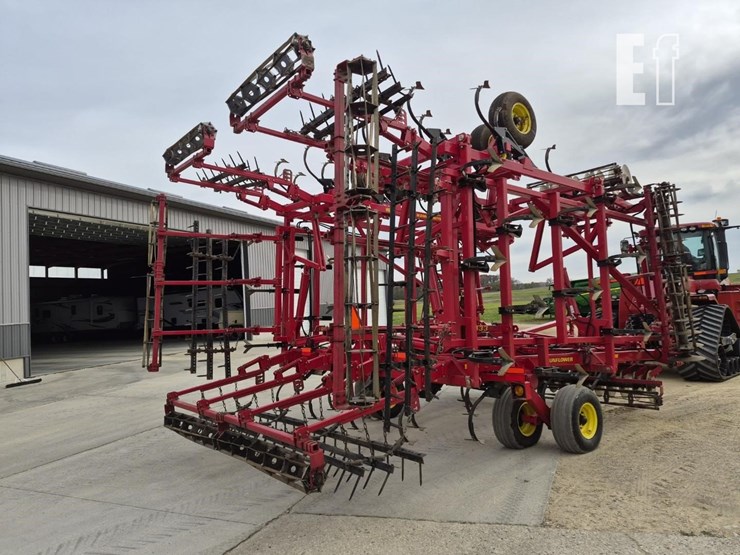 sunflower-6433-40-image-8