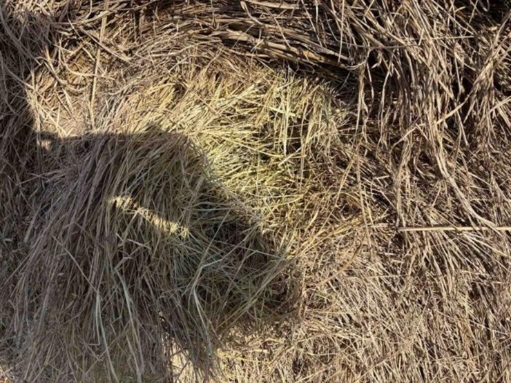 40-round-native-hay-bales-clean/sprayed-image-3