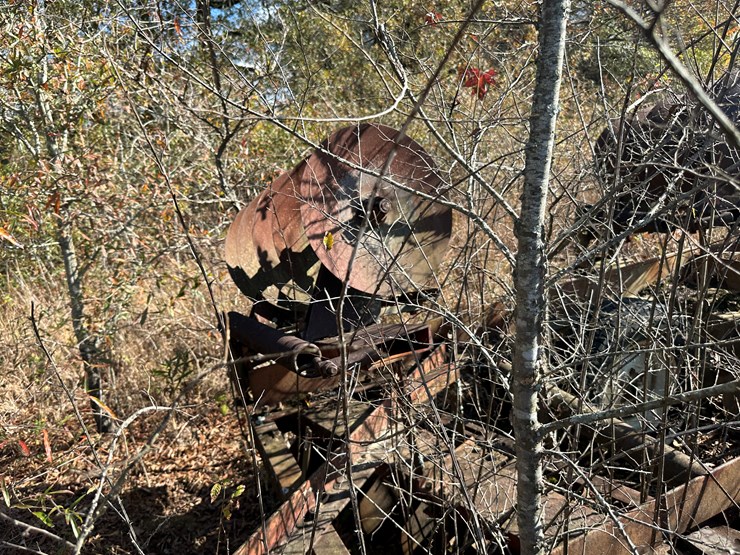 international-22-image-26