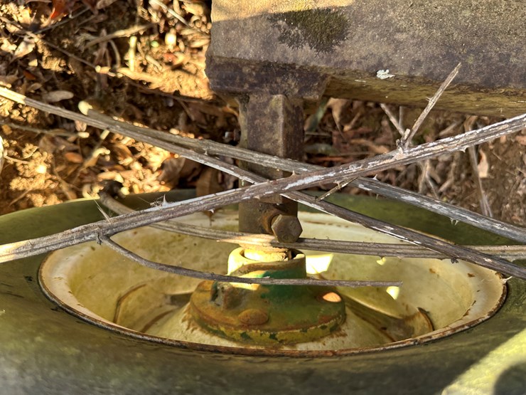 international-22-image-32