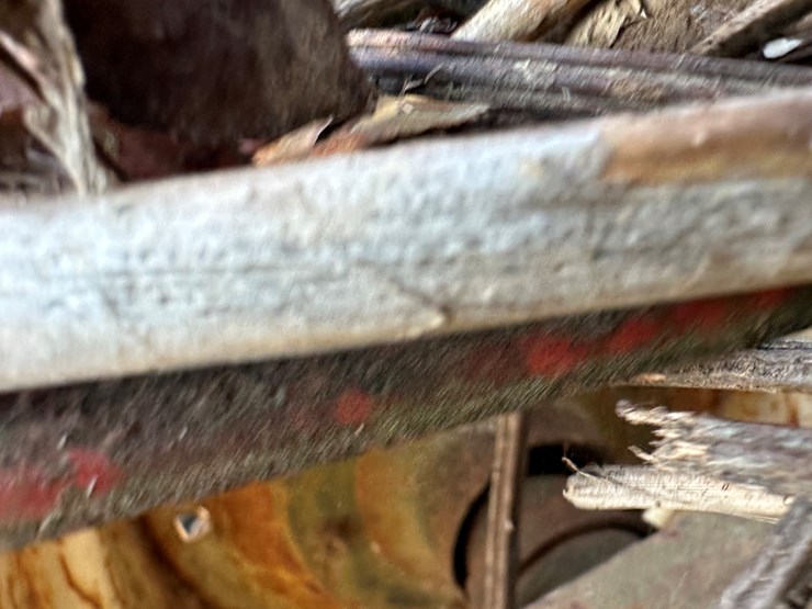 international-22-image-19