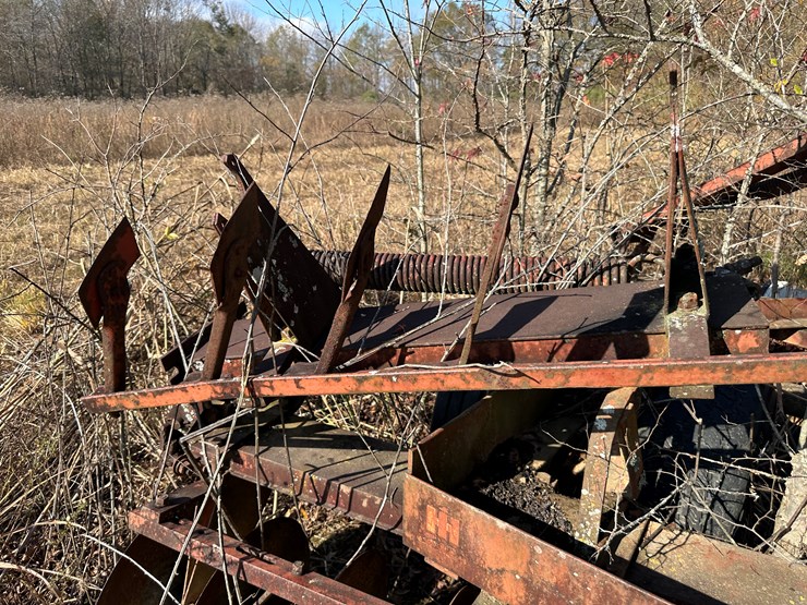 international-22-image-6