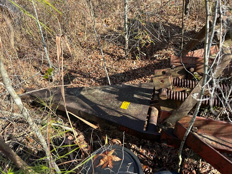 international-22-image-23