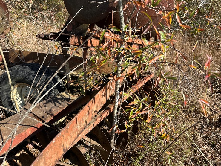 international-22-image-10