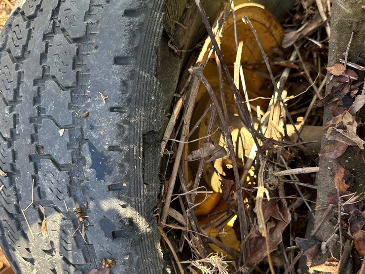 international-22-image-20