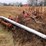 #1172-•-16'-danish-tined-3-point-digger-with-harrow-(antigo,-wi)-image-4