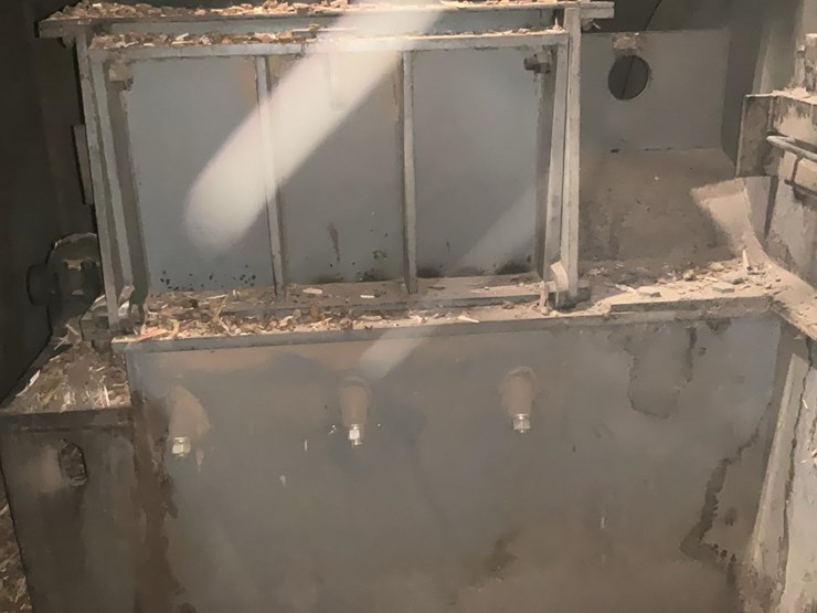 #117-•-montgomery-hog-image-2