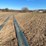 #8459-•-section-of-10"-bulldog-hose-(colfax,-wi)-image-7