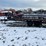 #1102-•-2014-nuhn-0252-crawler-hauler-trailer-(st.-nazianz,-wi)-image-20