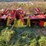 #8000-•-(2)-pottinger-triple-mowers-(colfax,-wi)-image-25