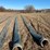 #8458-•-section-of-10"-bulldog-hose-(colfax,-wi)-image-2