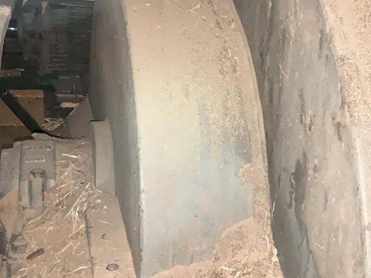 #117-•-montgomery-hog-image-13