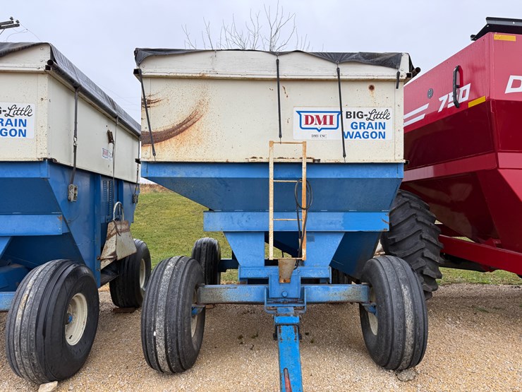 dmi-big-little-image-2