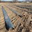 #8462-•-(4)-sections-of-10"-bulldog-hose-(colfax,-wi)-image-2