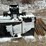#2703-•-cat-skid-steer-grapple-bucket-(fall-creek,-wi)-image-13