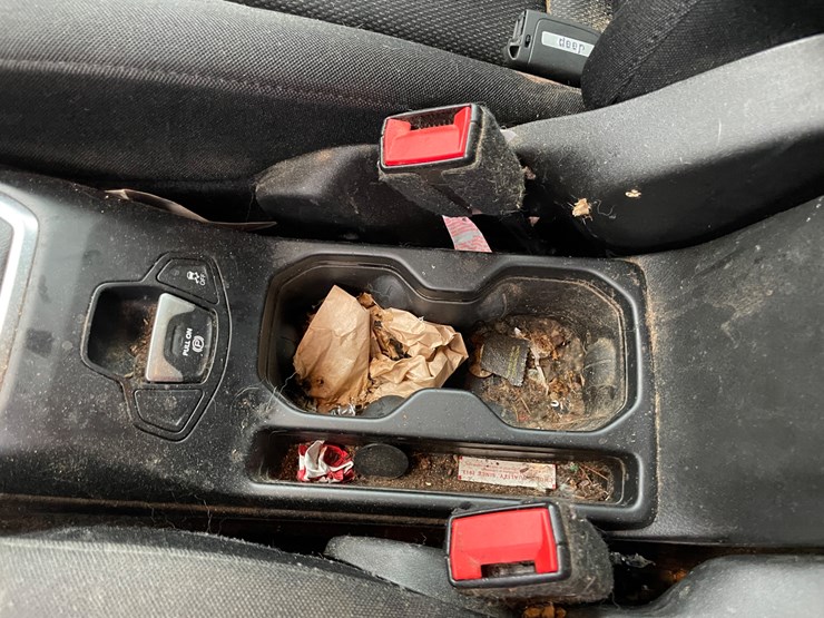 2021-jeep-renegade-image-36