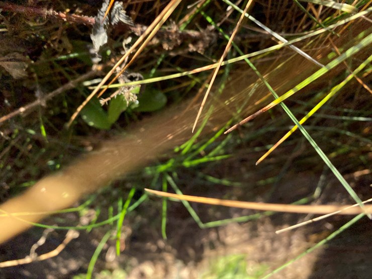 #8000-•-(2)-pottinger-triple-mowers-(colfax,-wi)-image-22