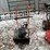 #2707-•-ariens-professional-21-snow-blower-(fall-creek,-wi)-image-2