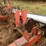 #1172-•-16'-danish-tined-3-point-digger-with-harrow-(antigo,-wi)-image-7