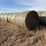 40-round-native-hay-bales-clean/sprayed-image-4
