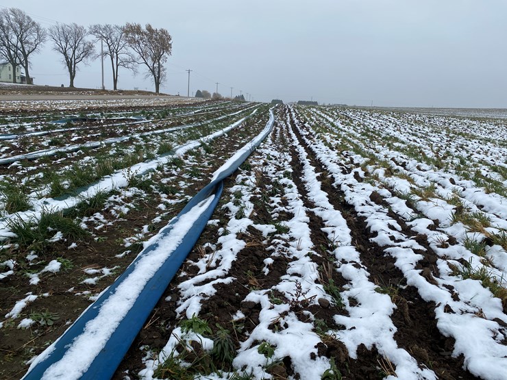 #8467-•-650'-section-of-10"-bulldog-mainline-hose-(new-holstein,-wi)-image-6