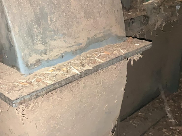 #117-•-montgomery-hog-image-15