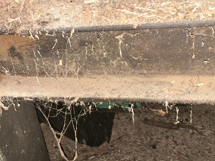 #131-•-log-turner-image-3