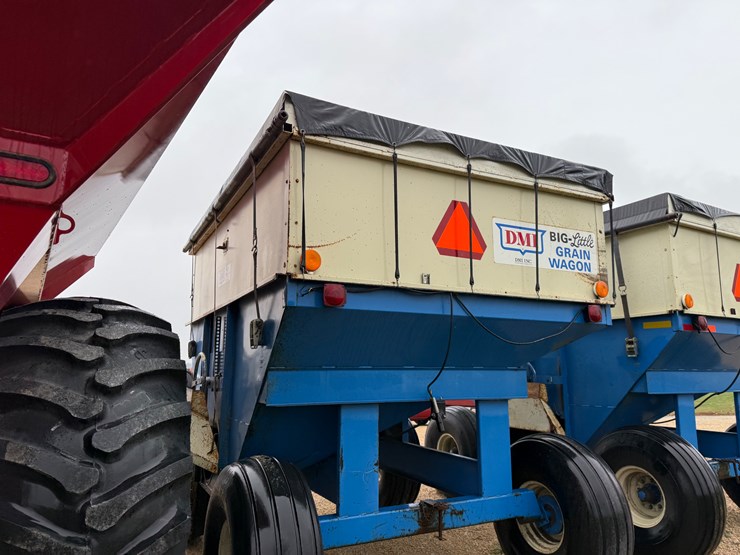 dmi-big-little-image-8