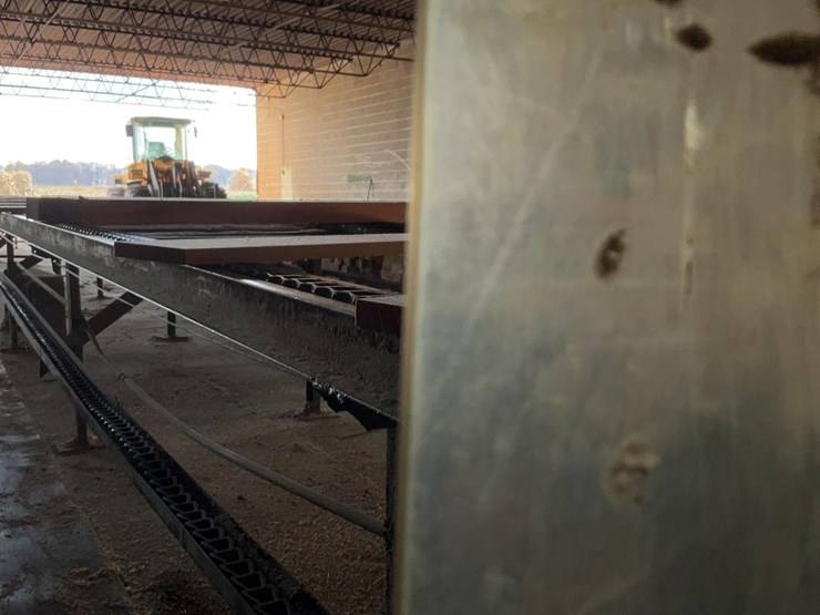 #145-•-green-chain-image-13