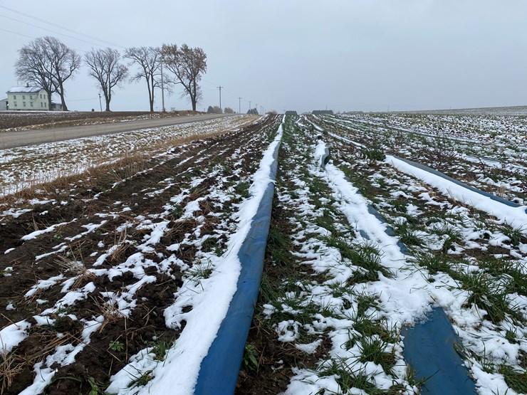 #8471-•-650'-section-of-10"-bulldog-mainline-hose-(new-holstein,-wi)-image-4