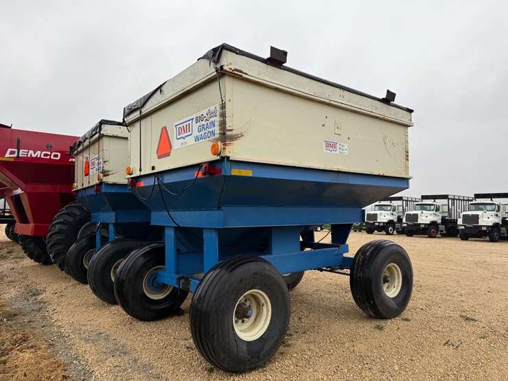 dmi-big-little-image-3