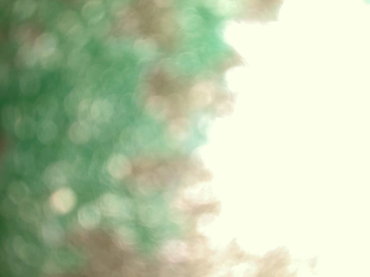 #136-•-rollcase-image-6