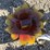 #88-•-metal-art--small-cactus-w/-flower-image-2