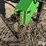 2014-john-deere-2510l-image-9