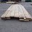 qty-of-(23)-1-in.-x-6-in.-x-12-14-ft-pine-lumber-a-image-5