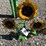 #81-•-metal-art--sunflower-w/-ladybug-image-1