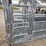 cattle-chute-w/-palpation-cage-image-16