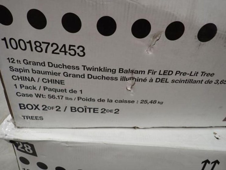 12-ft-grand-duchess-twinkling-balsam-fir-led-image-4