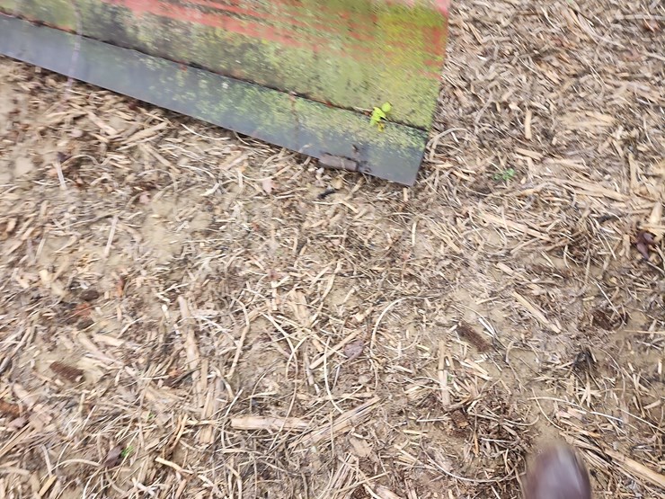 8’-grade-blade-image-5