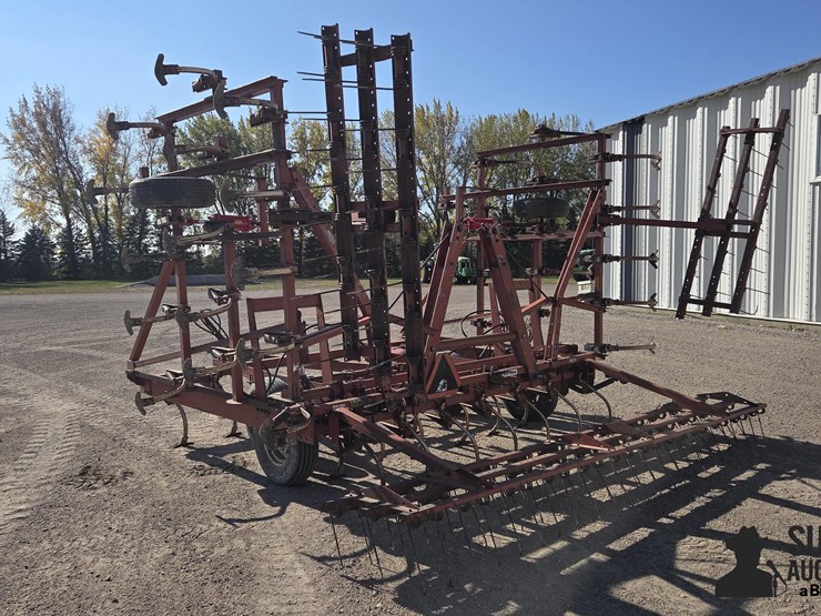 international-45-image-7