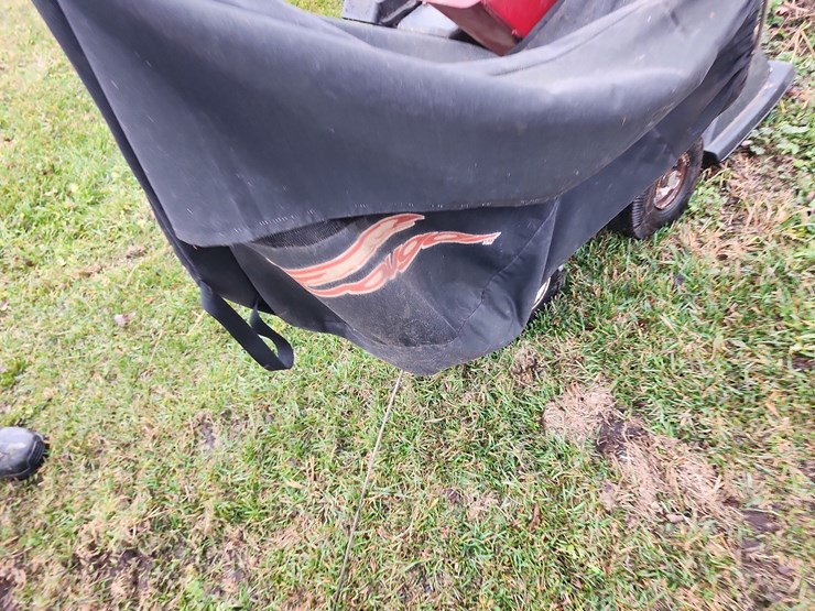 cougar-leaf-vac-image-6