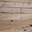 qty-of-(42)-1-in.-x-6-in.-x-12-14-ft-pine-lumber-a-image-7