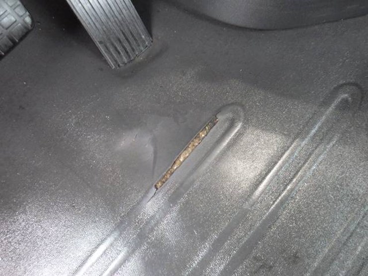 2019-freightliner-cascadia-126-image-20