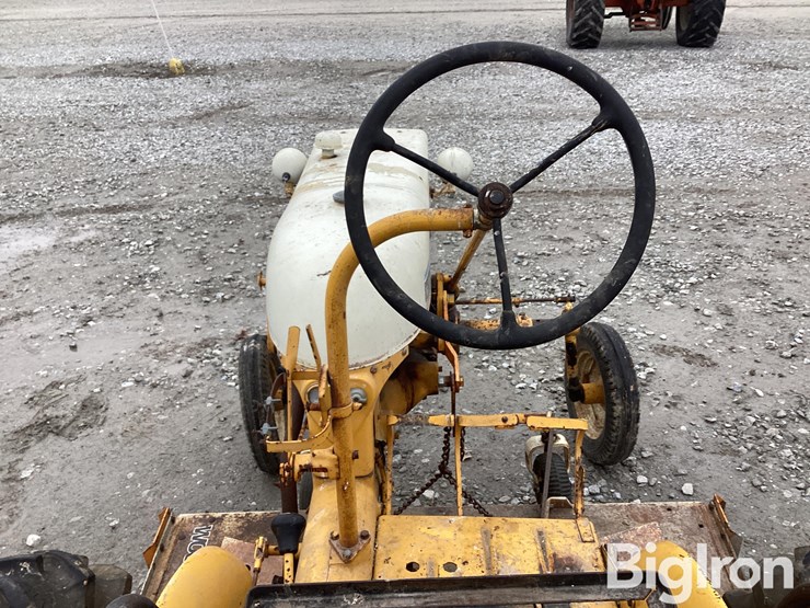 international-cub-image-17