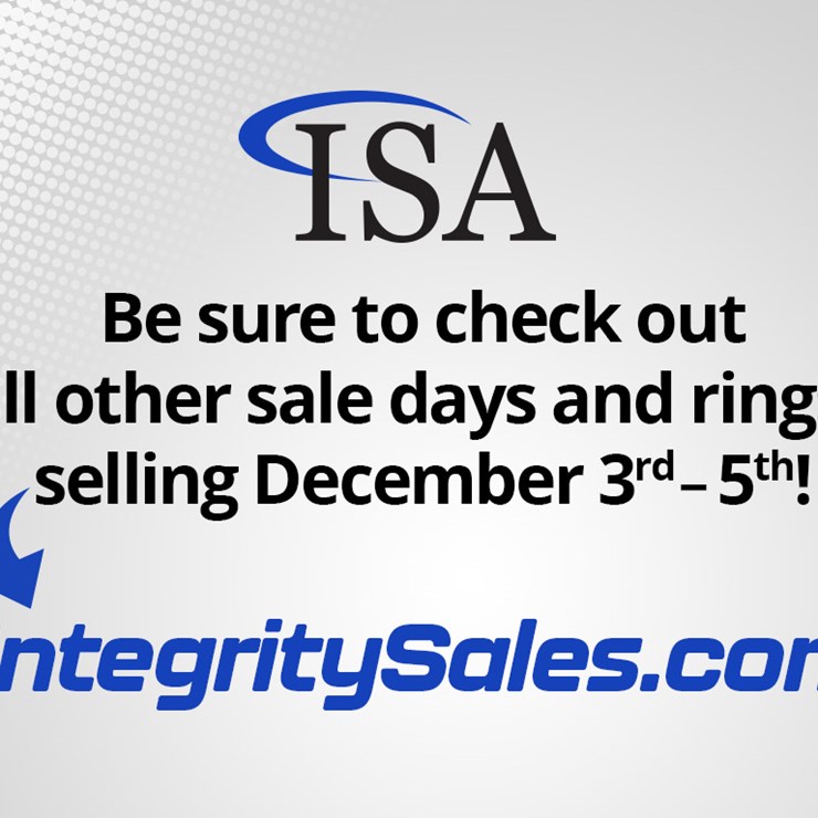 #105 • Check Out Our Other Rings Through December 5th!